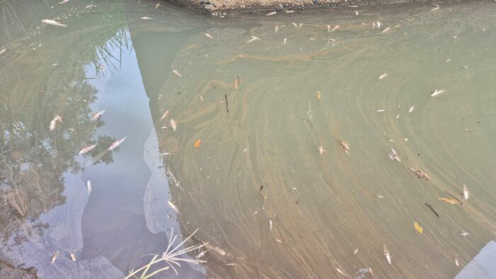 Estudio encuentra problemas de cloración y coliformes fecales en acueductos rurales