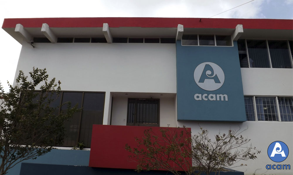 Asociación afirma que propuesta legislativa cercenaría derechos de autor de músicos nacionales y extranjeros