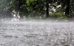 IMN pide precaución por saturación de suelos en Zona Norte, Caribe, Pacífico Sur y Península de Nicoya
