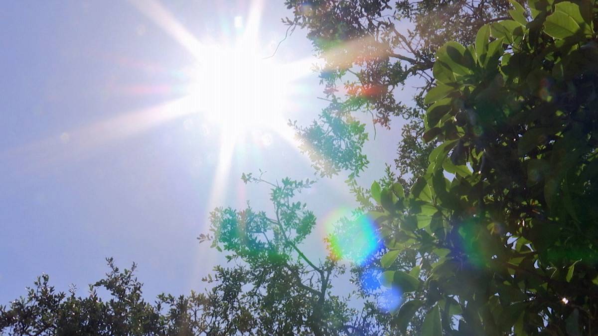 Inicio de semana tendrá temperaturas cálidas y alta sensación de ‘bochorno’