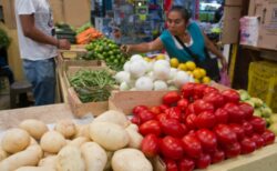 Precio del aguacate disminuyó 30% en un año: Costo de la papa y la cebolla creció hasta 91%