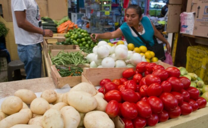 Precio del aguacate disminuyó 30% en un año: Costo de la papa y la cebolla creció hasta 91%