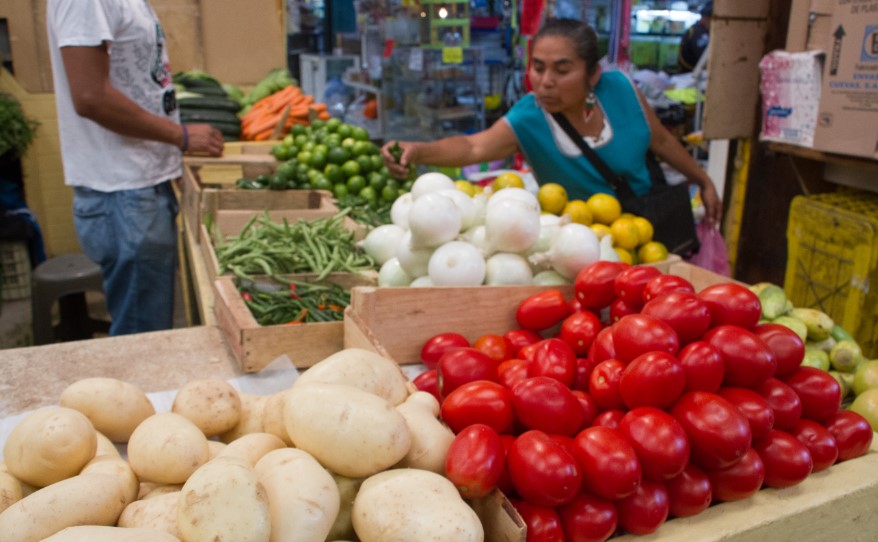Precio del aguacate disminuyó 30% en un año: Costo de la papa y la cebolla creció hasta 91%