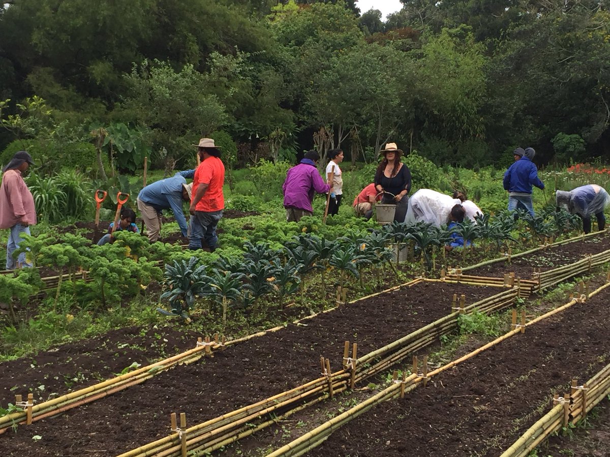 Plan del gobierno busca reducir aranceles migratorios para ingreso al país de trabajadores agrícolas