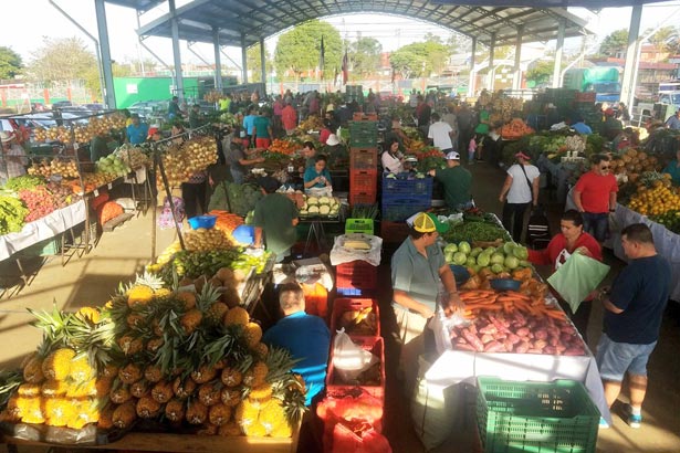 ¡Tome nota! Mayoría de productos en la feria del agricultor están más baratos