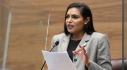 Subjefa del PLP presenta recurso de amparo contra MOPT por nuevo trámite de licencias de conducir