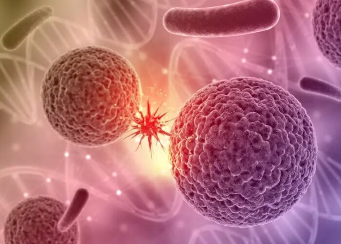 Cómo funciona el algoritmo de IA diseñado por Harvard que puede predecir cáncer de páncreas hasta 3 años antes de los síntomas