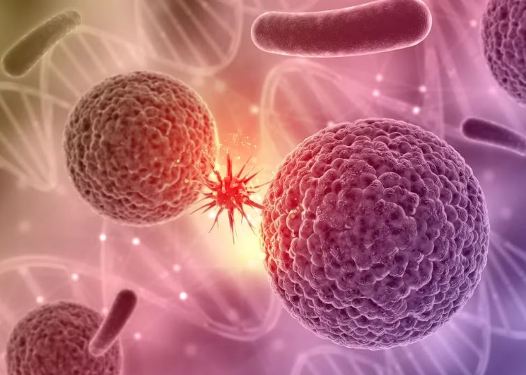 Cómo funciona el algoritmo de IA diseñado por Harvard que puede predecir cáncer de páncreas hasta 3 años antes de los síntomas