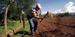 Ministerio de Agricultura contará con reservorios de agua para afrontar Fenómeno del Niño
