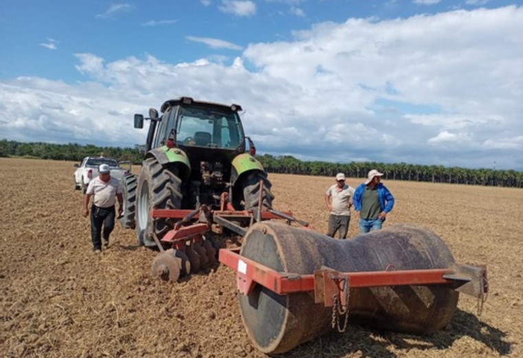 CNE declaró alerta verde en el país por el Fenómeno del Niño: IMN proyecta afectación hasta el 2024