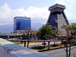 Contraloría: 12 municipalidades de 20 evaluadas no cuentan con departamento para tramitar denuncias sobre corrupción