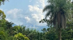 CNE desmiente que se espere ‘una erupción grande’ en el volcán Rincón de la Vieja
