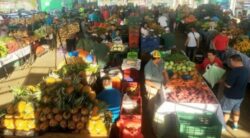 Lechuga verde, papa blanca y zanahoria están hasta 24% más caras en las ferias del agricultor