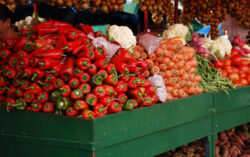 ¿Va para la feria? Chile dulce, lechuga y papa subieron de precio para el fin de semana