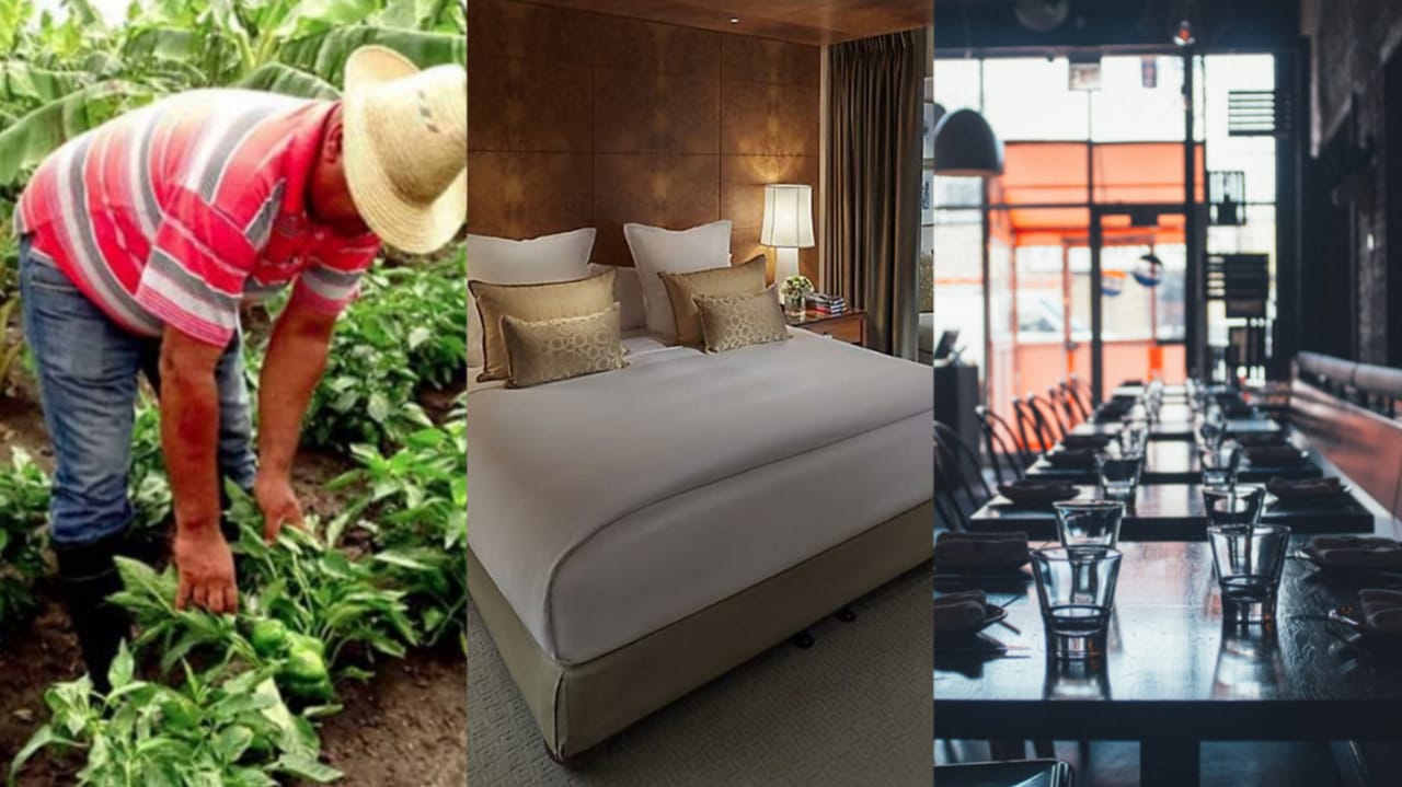 Sector agrícola, hoteles y restaurantes reflejan caída de más de 15 mil personas ocupadas