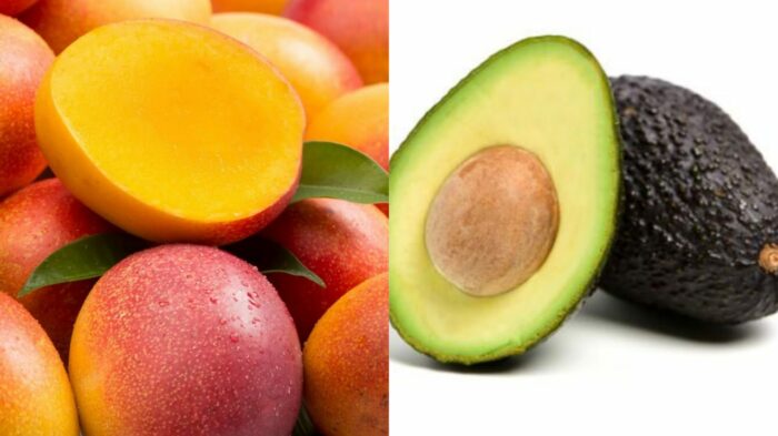 CNP prevé que el aguacate y el mango estén más baratos ante alta producción nacional