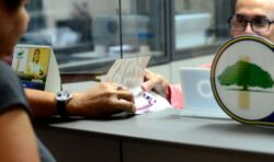 INS reporta más de 1000 duplicados del marchamo por extravío, robo o mal pegado