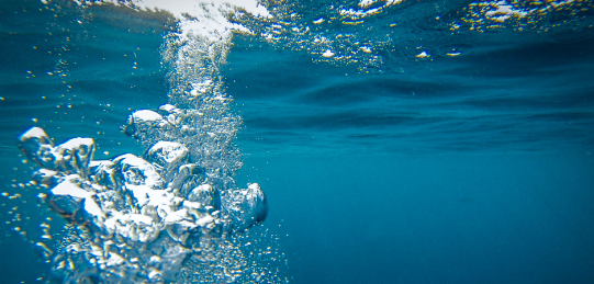 Día Mundial de los Océanos: ONU estima que en 2050 habrá más plástico que peces en los océanos
