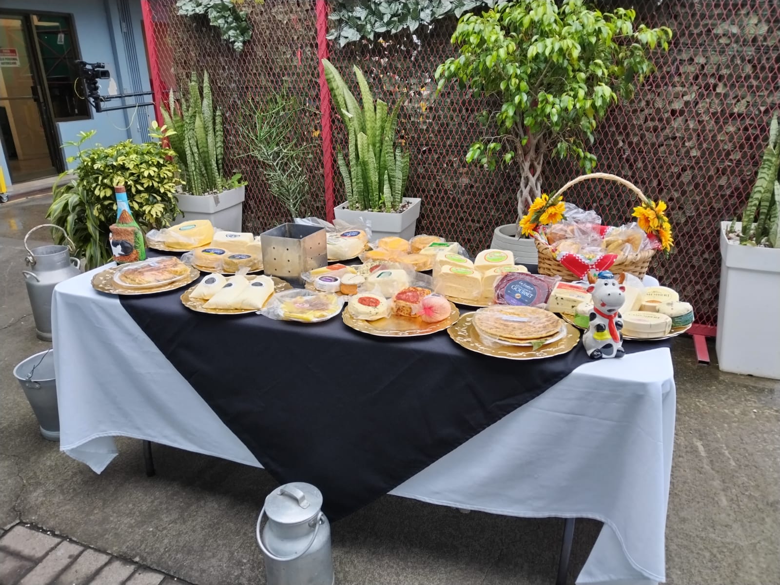 ¿Amante del queso? Feria se realizará este y el próximo fin de semana en Turrialba