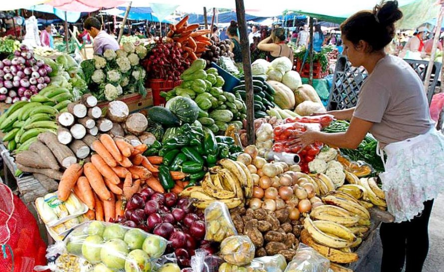 Cebolla y repollo verde están más caros en las Ferias del Agricultor esta semana