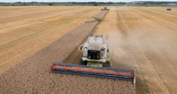EEUU advirtió que la suspensión del acuerdo de grano tendrá un enorme coste diplomático para Rusia