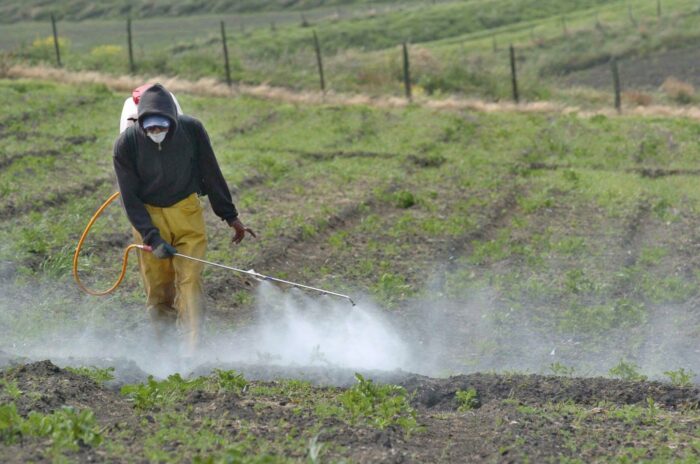 MAG identifica disminución en precio de fertilizantes que podría beneficiar a productores y consumidores