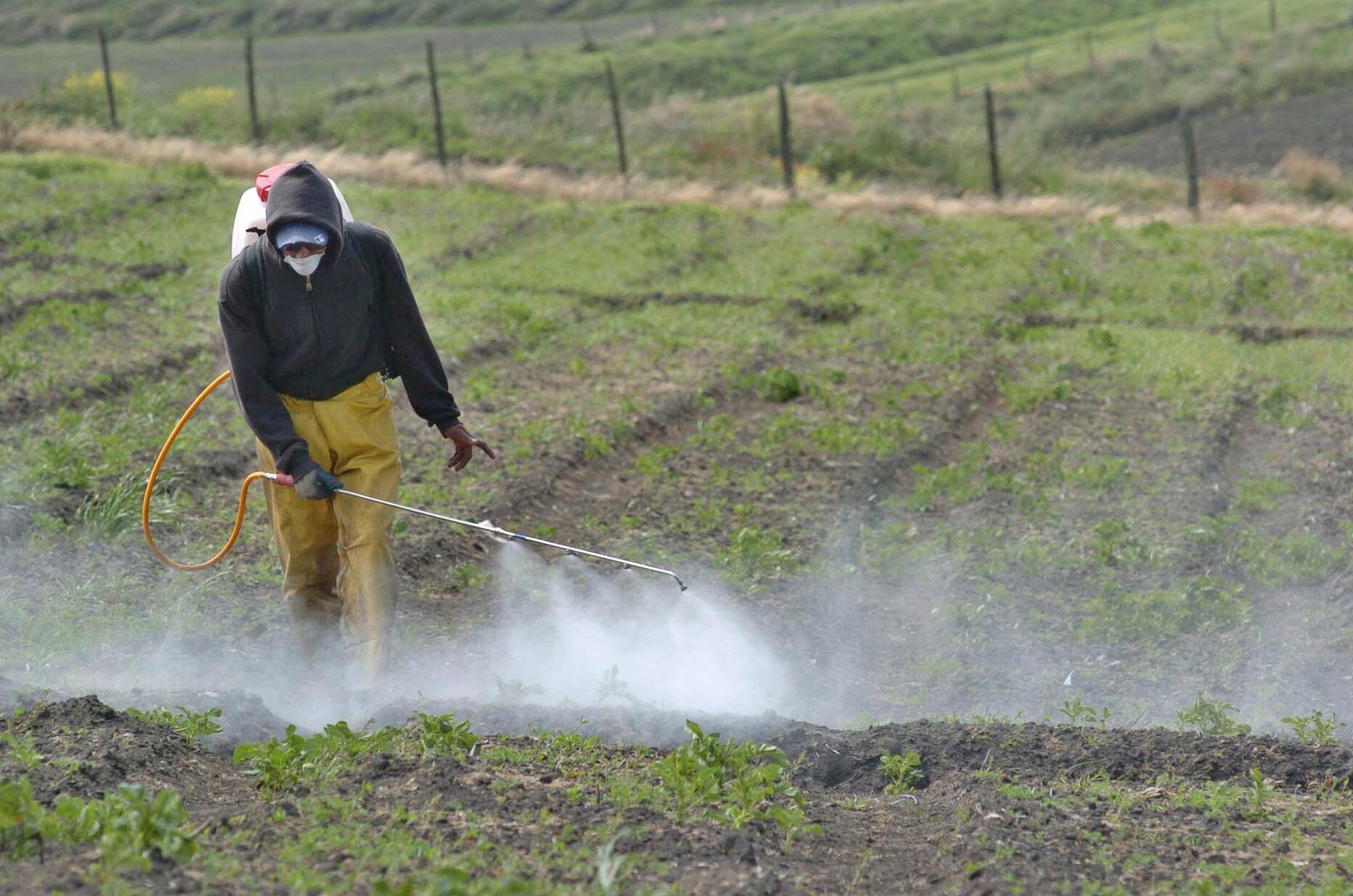 MAG identifica disminución en precio de fertilizantes que podría beneficiar a productores y consumidores