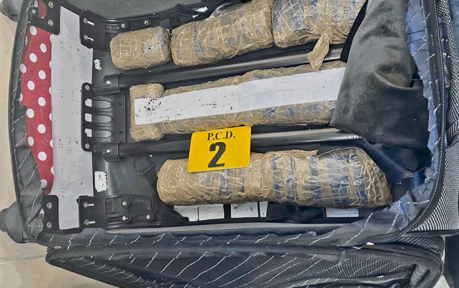 Autoridades detienen a turista con más de 100 mil dosis de droga en Aeropuerto Juan Santamaría