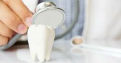 Investigación en la UCR identificó 22 especies bacterianas en caries dentales de niños en el país