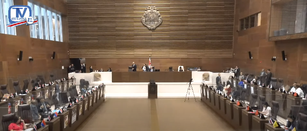 Diputada propone limitar cantidad de mociones que se le pueden presentar a proyectos que se tramiten bajo procedimientos abreviados