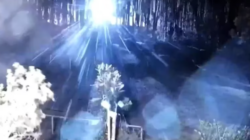 Un video reveló la causa más probable de los incendios que dejaron más de 100 muertos en el paraíso hawaiano de Maui