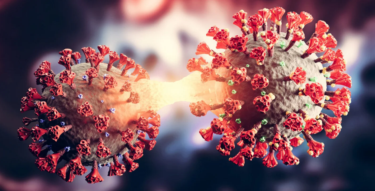 Expertos incluyen a Costa Rica entre los países con un ‘aumento constante’ de nueva variante de Ómicron del Covid-19
