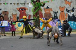 ¡Conciertos, fábulas y fiesta cultural! Este viernes da inicio el Festival Nacional de las Artes