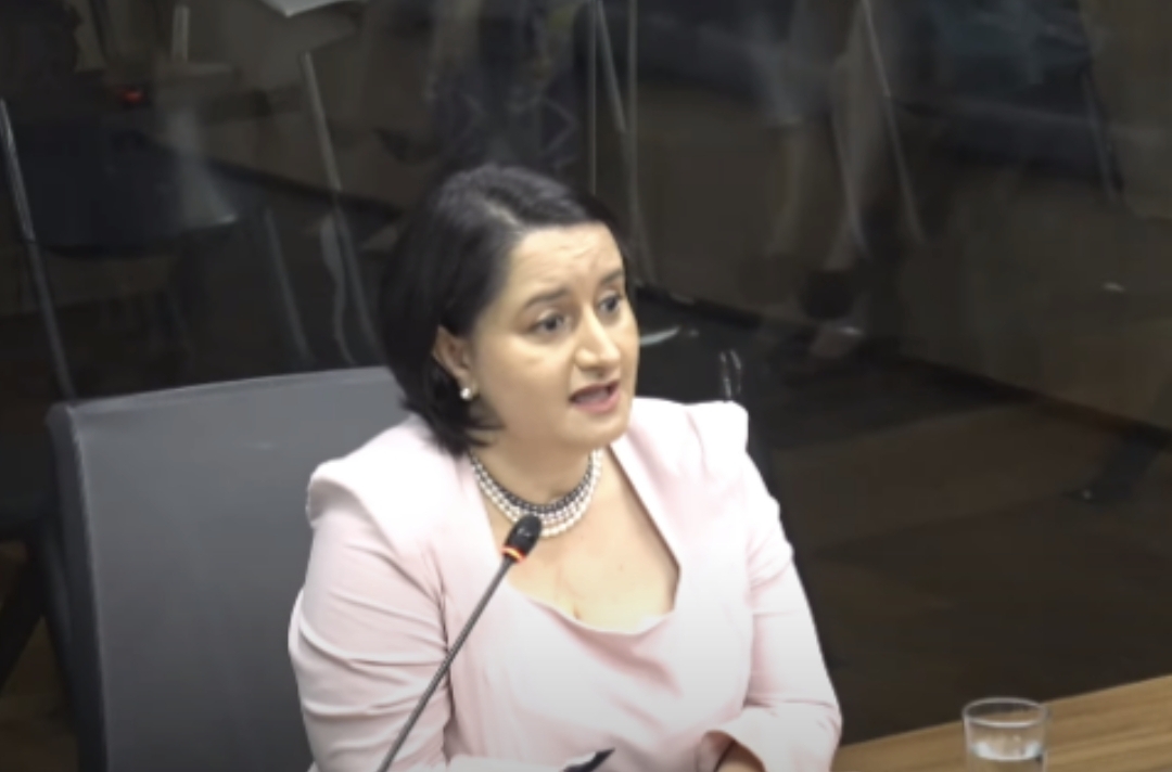 Exjerarca del PANI compareció ante diputados y alegó ‘violencia política’