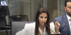 Esposa de empresario Leonel Baruch asegura que visitó Casa Presidencial en seis ocasiones para abordar temas sociales