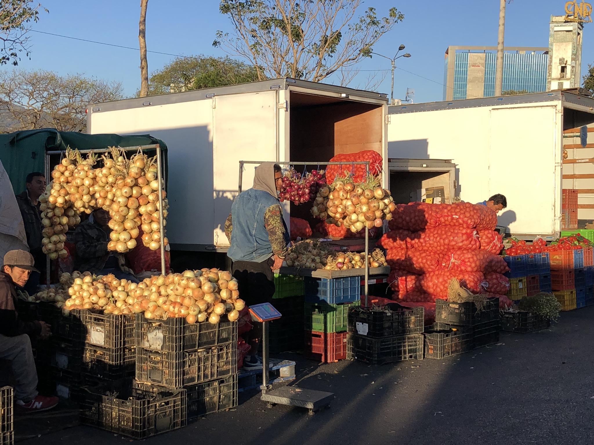 Verduras y tubérculos para preparar una olla de carne le cuestan 20% más baratos este mes que a inicios de año
