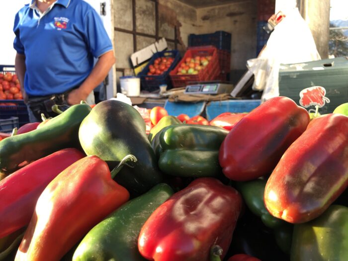 Frutas y verduras están hasta 17% más baratas en las Ferias del Agricultor: Solo el banano aumentó de precio