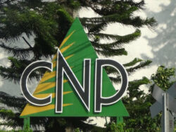 Diputados aprueban en segundo debate proyecto que excluye de la regla fiscal compras del PAI del CNP