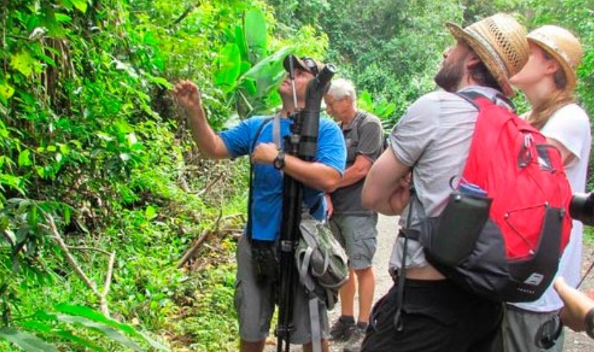 Llegada de turistas por la vía aérea tuvo nueva disminución en setiembre