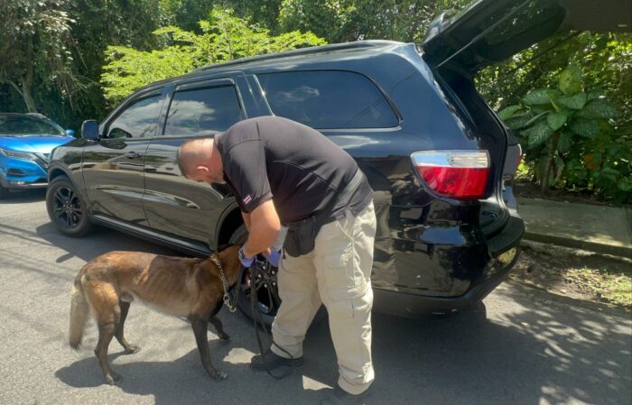 OIJ detiene a 17 personas sospechosas de estafar a adultos mayores estadounidenses desde Costa Rica