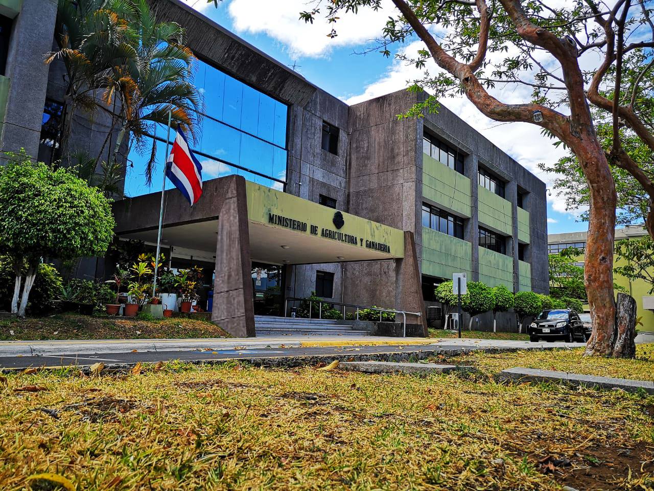 MAG busca que se aumente uso de árboles en lugar de postes para cercar fincas ante sequía y Fenómeno del Niño