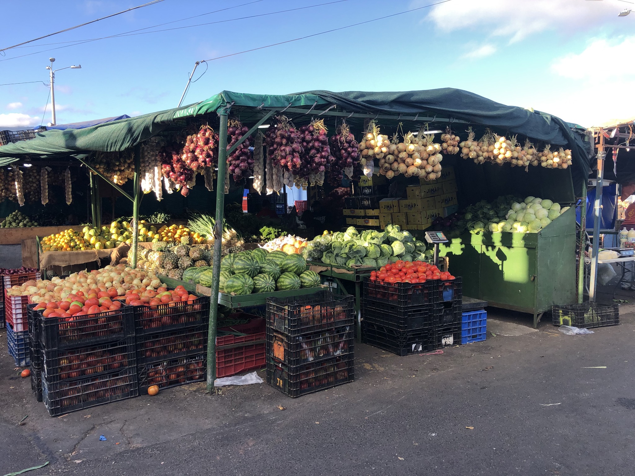 Precio del tomate aumentó ¢425 por kilo esta semana en las Ferias del Agricultor