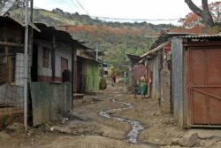 Cantidad de hogares en pobreza disminuyó en más de 8 mil en un año
