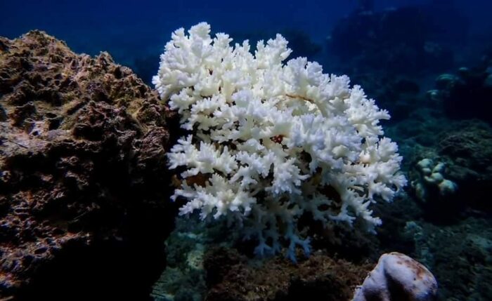 Expertos calculan que la costa del Pacífico costarricense subió 25 cm sobre la marea normal