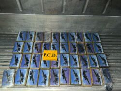 Seguridad atribuye a control de cuerpos policiales en la terminal de Moín el nulo envío de droga fuera del país
