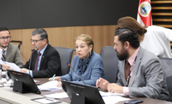 Diputados solicitarán al gobierno que declare emergencia nacional por situación de seguridad