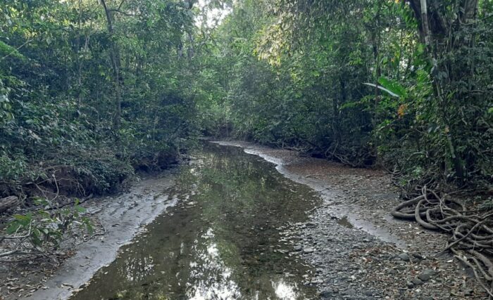 Dos personas fallecieron en Parque Nacional de Corcovado tras derrumbe en sitio no habilitado para visitación