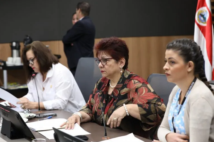 Investigación sobre financiamiento electoral de partidos en campaña podría finalizar en enero