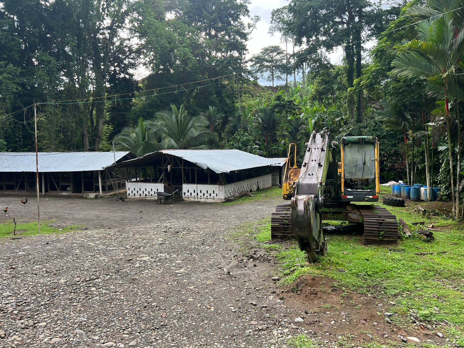OIJ busca detener a 5 sospechosos de legitimar capitales en Limón con negocios como bares, gimnasios y alquiler de maquinaria pesada