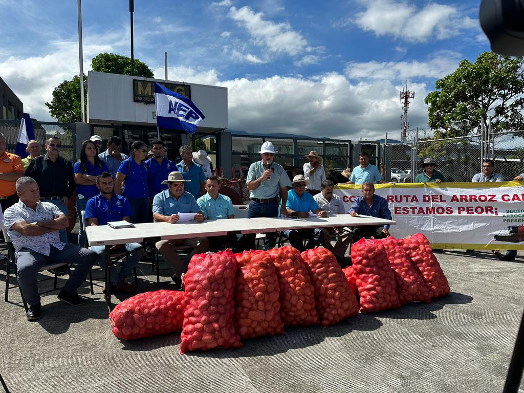 Agricultores urgen acciones al Gobierno por situación económica del sector